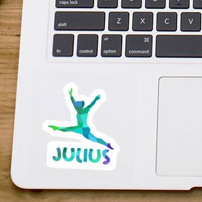 Julius Sticker Gymnast Gift package Image