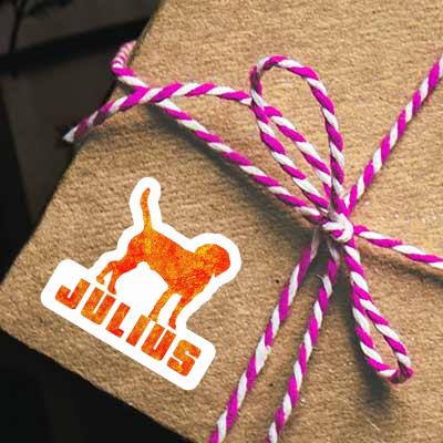 Julius Sticker Hund Gift package Image