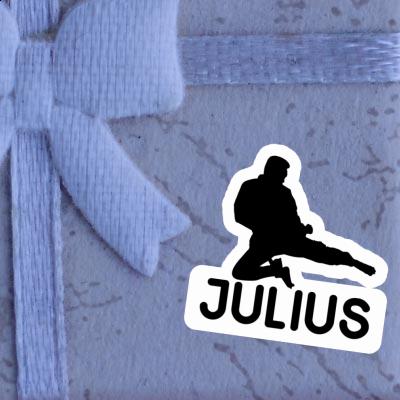 Julius Sticker Karateka Gift package Image