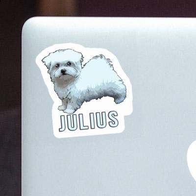 Sticker Julius Maltese Dog Gift package Image