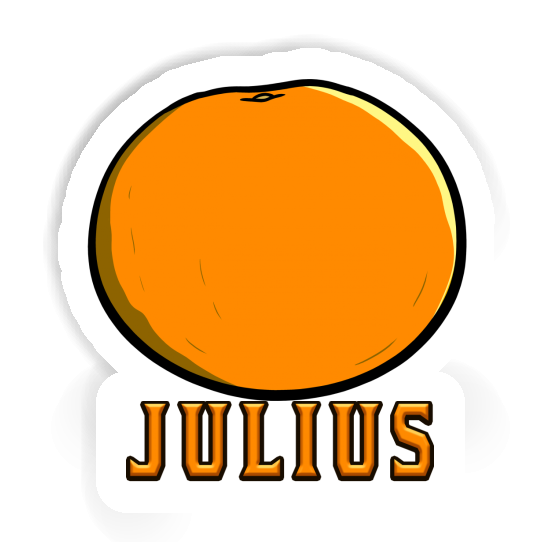 Orange Sticker Julius Laptop Image