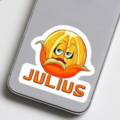 Autocollant Julius Orange Laptop Image