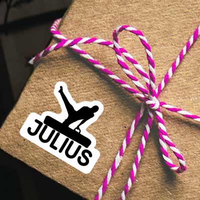 Aufkleber Turner Julius Gift package Image