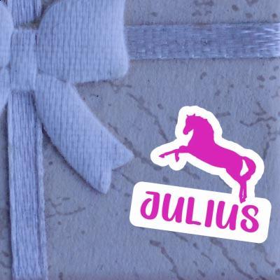 Sticker Julius Horse Notebook Image