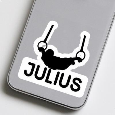 Aufkleber Ringturner Julius Gift package Image