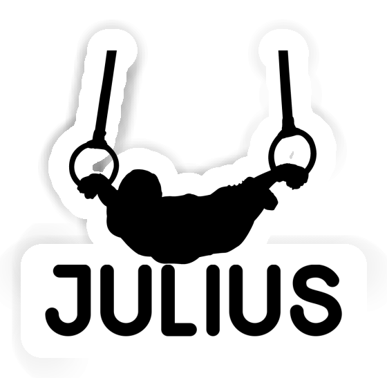 Aufkleber Ringturner Julius Laptop Image