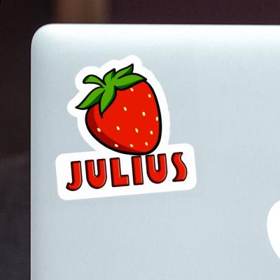 Erdbeere Sticker Julius Notebook Image