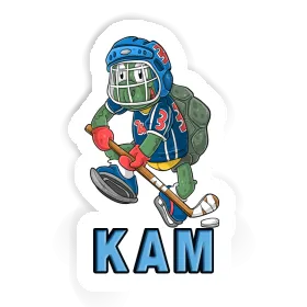Ice hockey Stickers for Kam