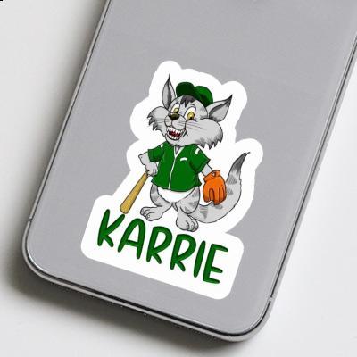 Karrie Sticker Baseball Cat Gift package Image