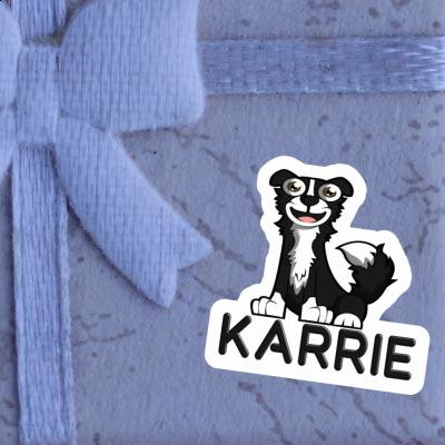 Autocollant Border Collie Karrie Gift package Image