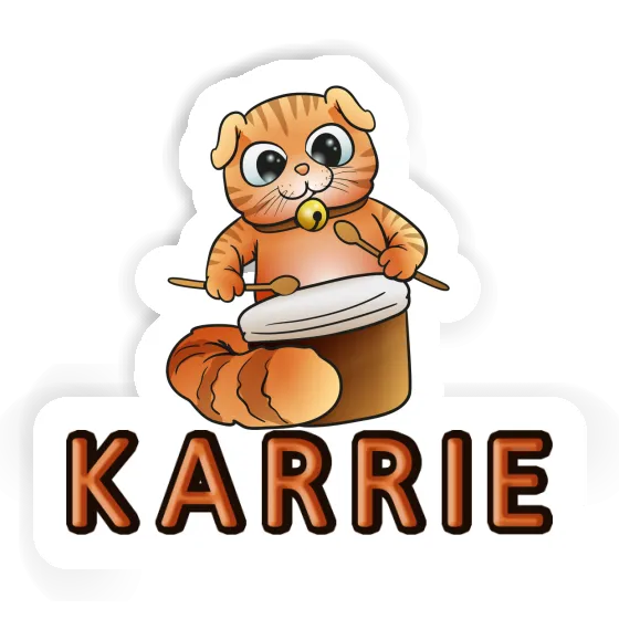 Sticker Drummer Cat Karrie Gift package Image