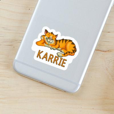 Karrie Sticker Chilling Cat Gift package Image