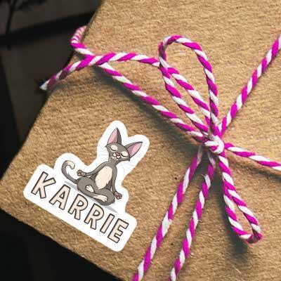 Karrie Sticker Cat Gift package Image