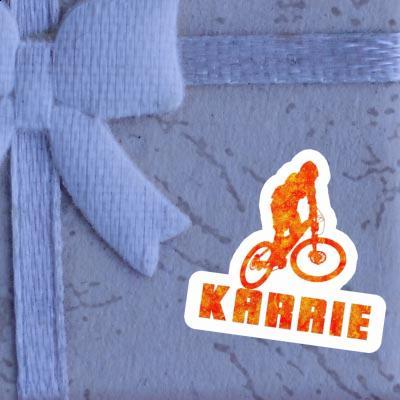 Sticker Downhiller Karrie Gift package Image