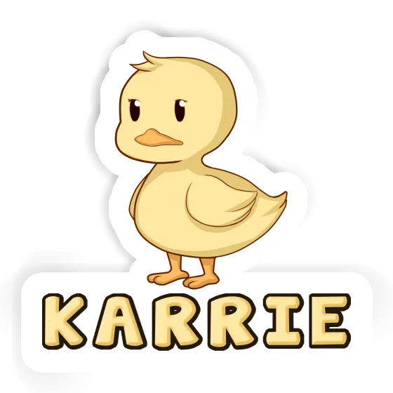 Sticker Duck Karrie Gift package Image