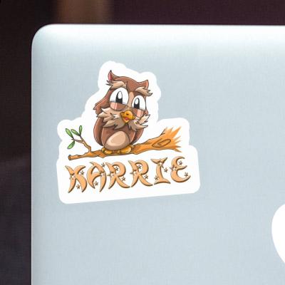 Karrie Sticker Owl Laptop Image