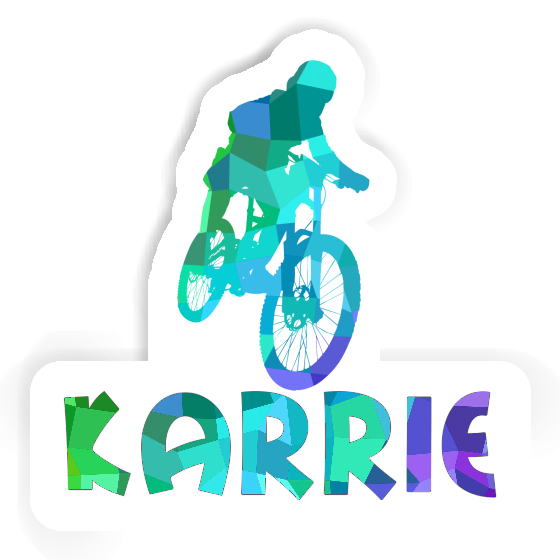 Freeride Biker Autocollant Karrie Gift package Image