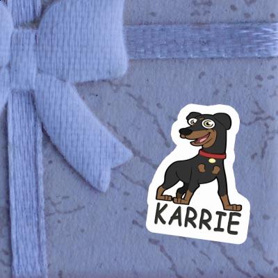 Pinscher Aufkleber Karrie Gift package Image