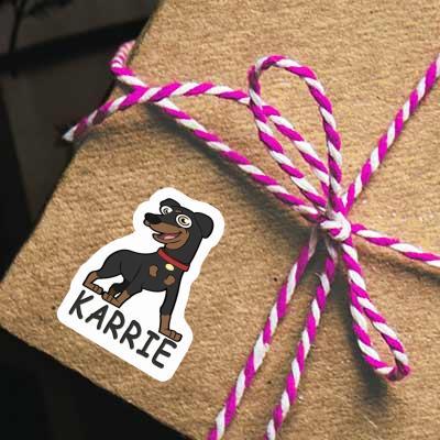 Aufkleber Pinscher Karrie Gift package Image