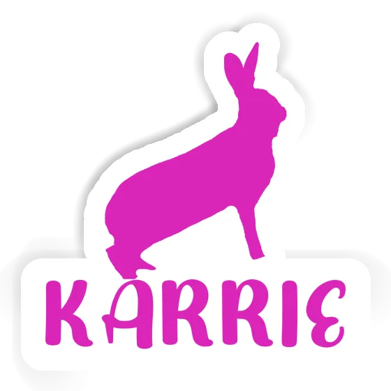 Rabbit Sticker Karrie Gift package Image