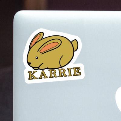 Karrie Sticker Hare Laptop Image