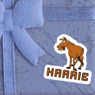 Karrie Sticker Horse Gift package Image