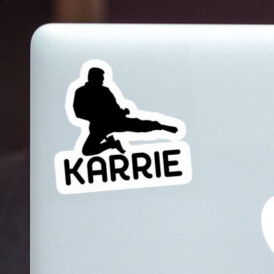 Karateka Sticker Karrie Gift package Image