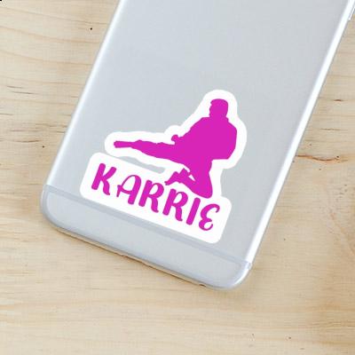 Karateka Aufkleber Karrie Gift package Image