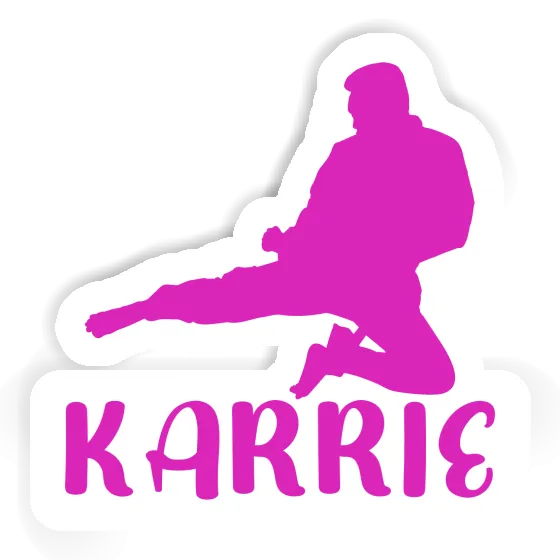 Karrie Sticker Karateka Laptop Image