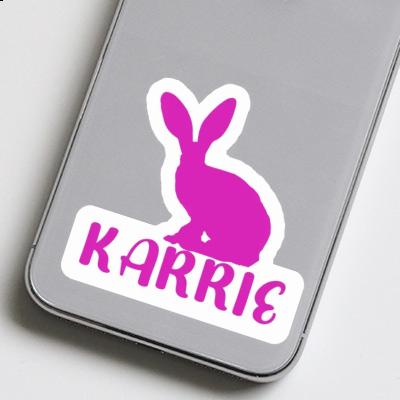 Autocollant Lapin Karrie Laptop Image