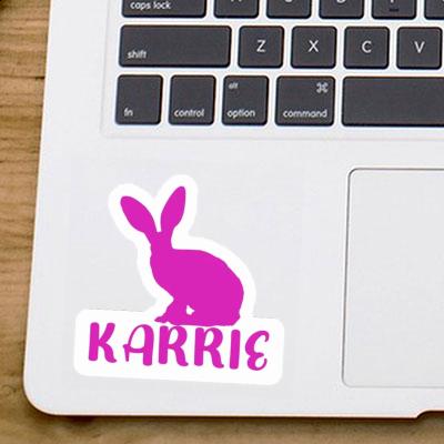 Autocollant Lapin Karrie Gift package Image