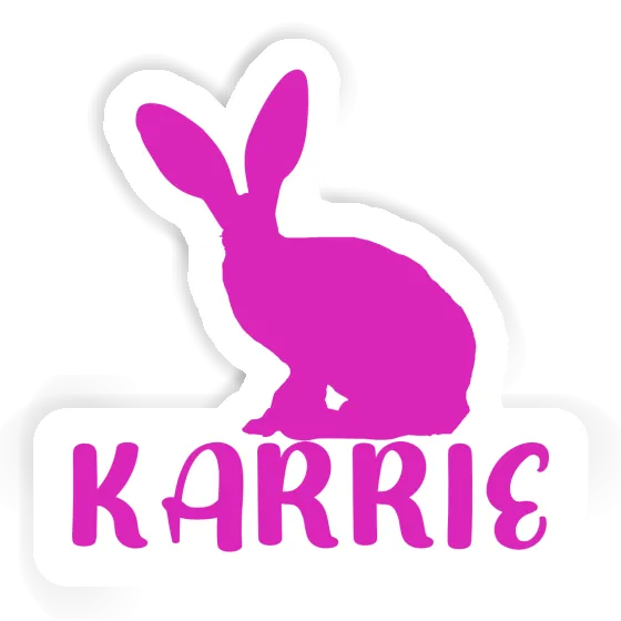 Sticker Rabbit Karrie Gift package Image