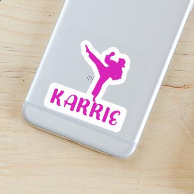 Karateka Sticker Karrie Image