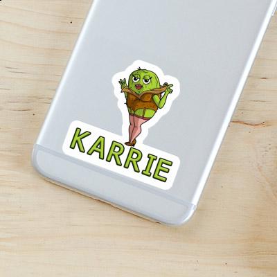 Autocollant Kiwi Karrie Gift package Image