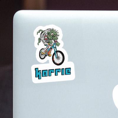 Downhill-Biker Sticker Karrie Gift package Image