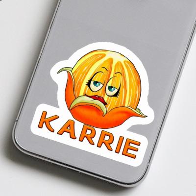 Orange Sticker Karrie Laptop Image