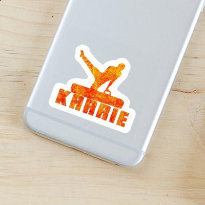 Karrie Sticker Turner Laptop Image