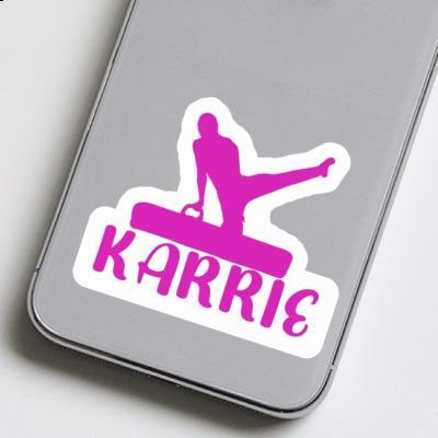 Gymnast Sticker Karrie Gift package Image