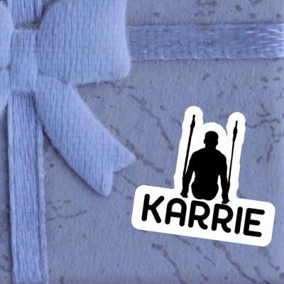 Autocollant Karrie Gymnaste aux anneaux Gift package Image