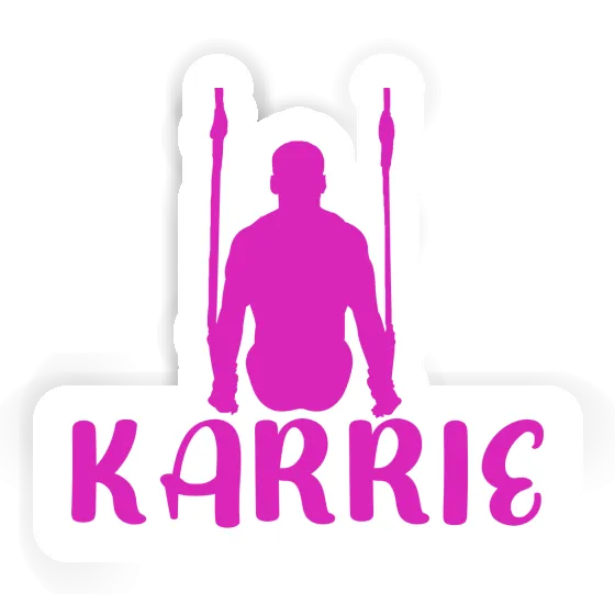 Karrie Sticker Ring gymnast Gift package Image