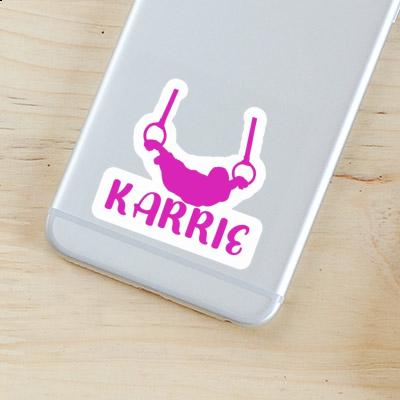 Ringturnerin Sticker Karrie Gift package Image