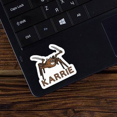 Sticker Karrie Fighting Spider Gift package Image