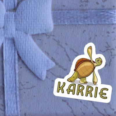 Yoga-Schildkröte Aufkleber Karrie Gift package Image