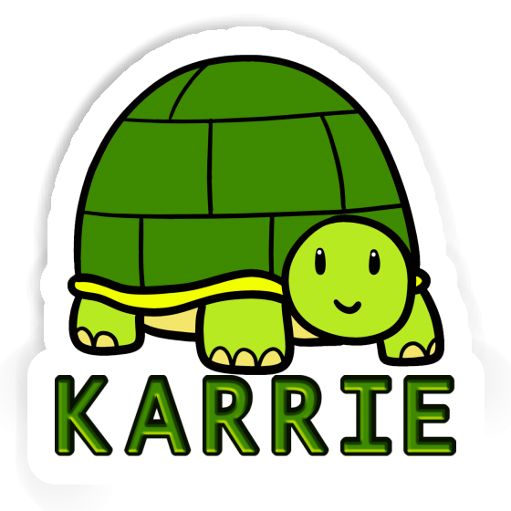 Autocollant Tortue Karrie Gift package Image