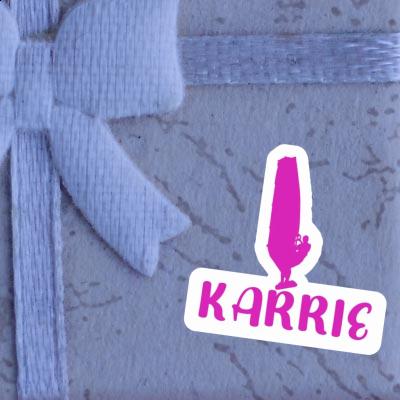 Autocollant Karrie Windsurfer Gift package Image