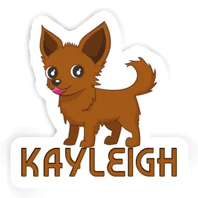 Sticker Kayleigh Chihuahua Image