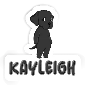 Kayleigh Aufkleber Labrador Image