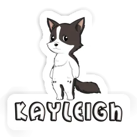 Border Collie Sticker Kayleigh Image