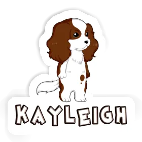 Sticker Kayleigh Cavalier King Charles Spaniel Image