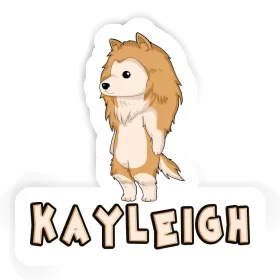 Aufkleber Kayleigh Collie Image